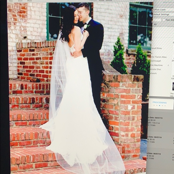 Cathedral Crystal Pearl Wedding Veil 